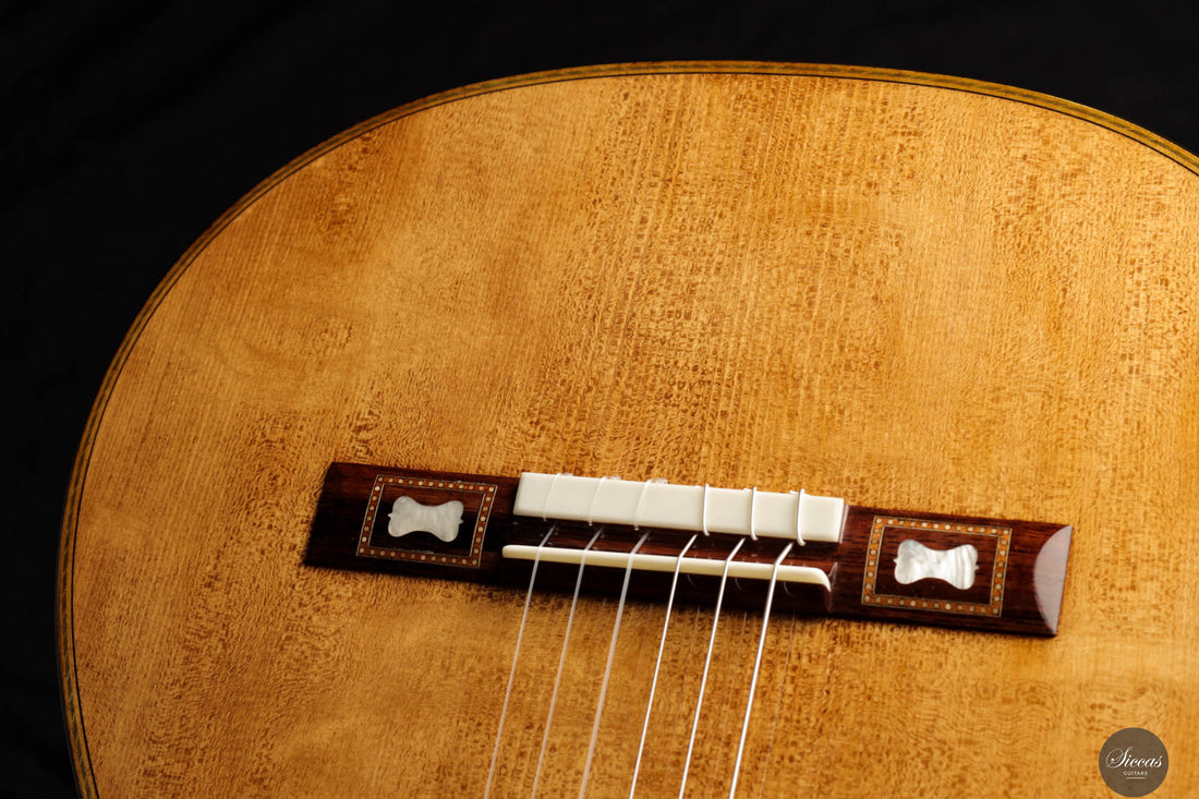 Wolfgang Jellinghaus - Antonio de Torres FE 17 A Indian Rosewood 63 cm