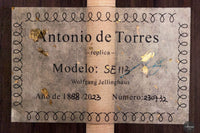 Wolfgang Jellinghaus - Torres SE113