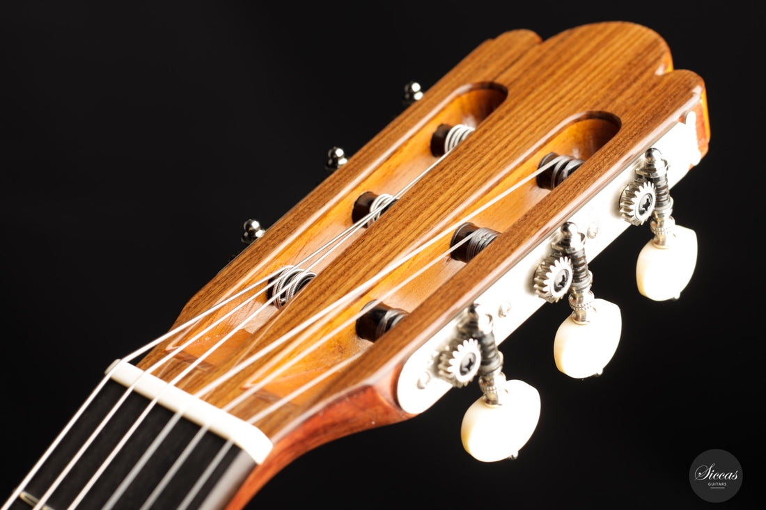 Wolfgang Jellinghaus - "Torres 77" Spruce/Pao Ferro Antique