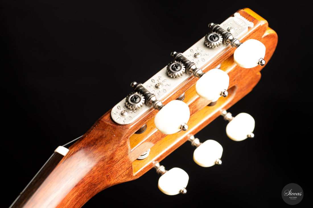 Wolfgang Jellinghaus - "Torres 77" Spruce/Pao Ferro Antique