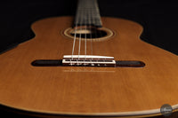 Yulong Guo - 2021 Concert Zeder/Ziricote