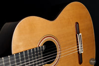 Yulong Guo - 2021 Concert Zeder/Ziricote