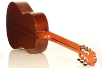 Paulino Bernabe - Especial 2008