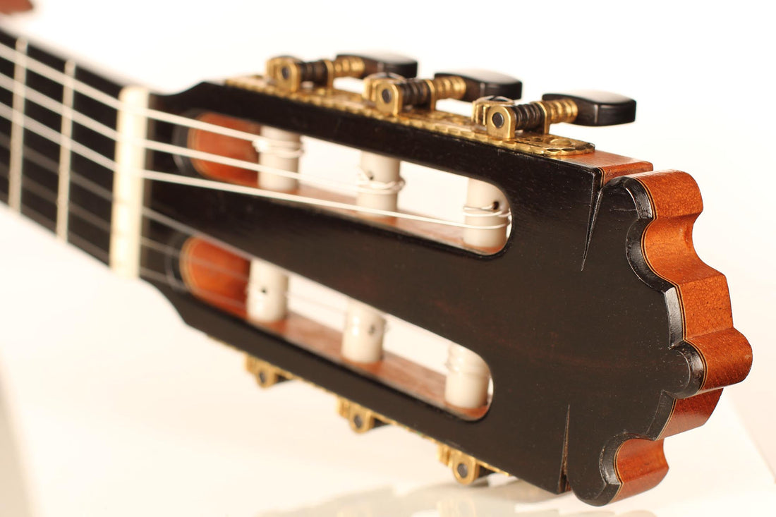 Paulino Bernabe - Especial 2008