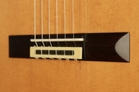 Andrea Tacchi - 1998 Coclea
