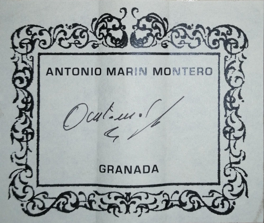 Antonio Marin Montero - 2018/19 CF