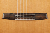 Armin Hanika – 1a Doubletop CF