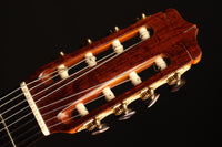 Dake Traphagen - 2003 8 strings