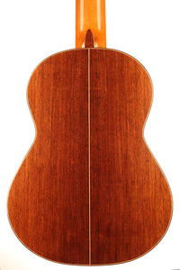 Dake Traphagen - 2003 8 strings