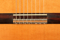 Dake Traphagen - 2003 8 strings