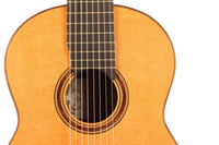 Dake Traphagen - 2003 8 strings