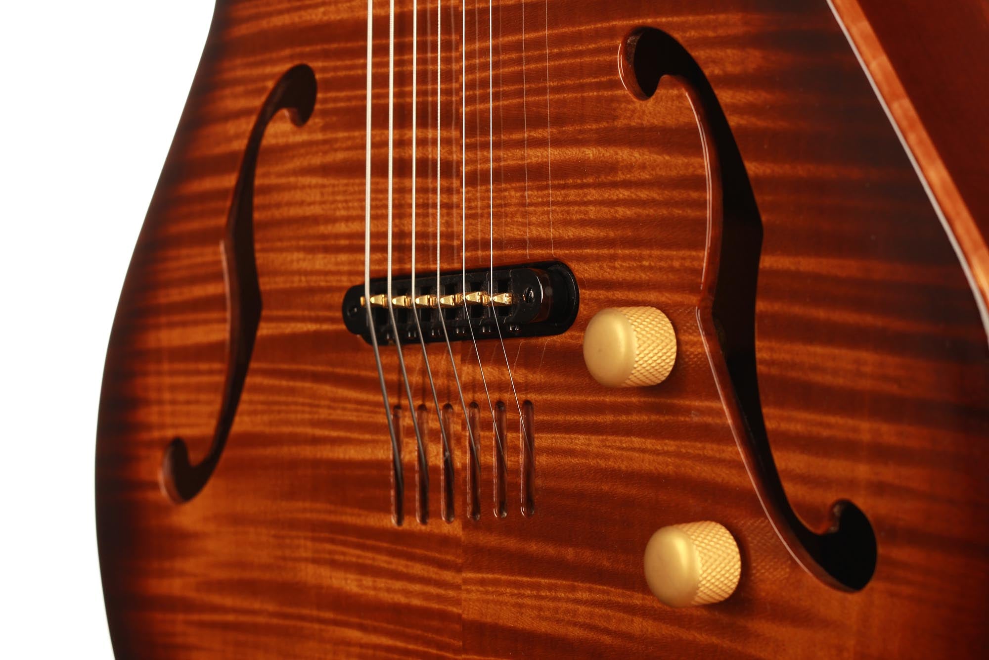 Godin Multiac Jazz SA – Siccas Guitars