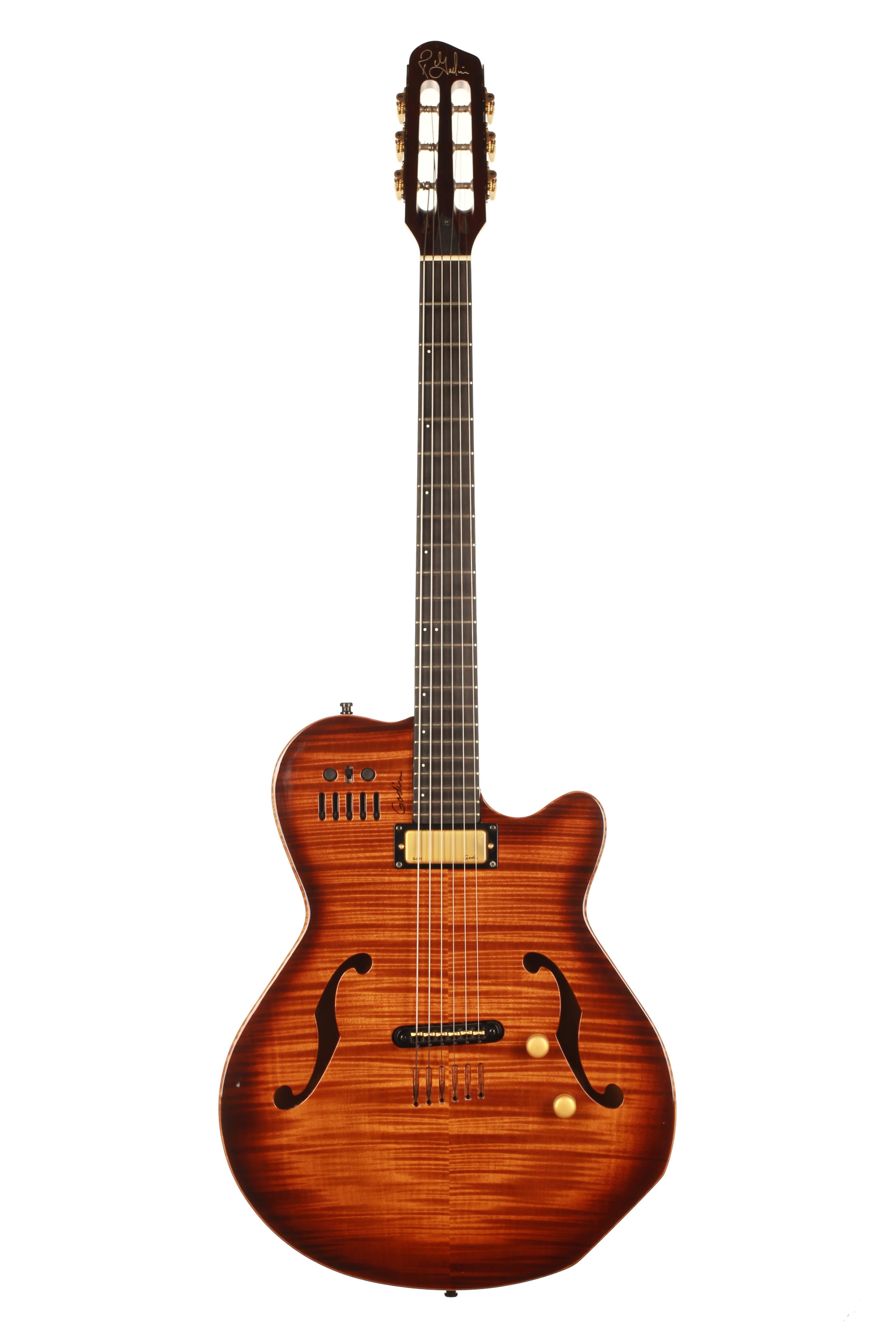 【希少】GODIN MULTIAC JAZZ SA セミアコースティックギター Godin Multiac Jazz SA – Siccas Guitars