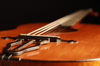 Hermann Hauser ® I - 1920