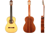 Hermann Hauser ® III - Tierce 1993