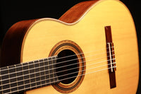 Hermann Hauser ® III - Tierce 1993