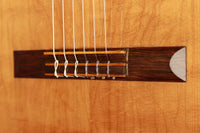 Hermann Hauser ® II - 1961 #695