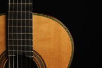 Hermann Hauser ® II - 1976