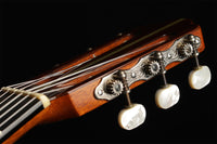 Hermann Hauser ® II - 1976