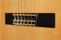 Hermann Hauser ® II - 1976