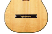 Hermann Hauser ® II - 1976