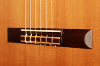 Hermann Hauser ® II - 1976