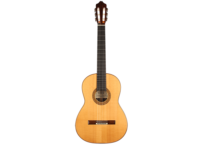 Karel Dedain - 2012 Flamenca