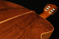 Karel Dedain - 2012 Flamenca