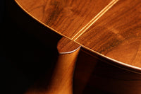Karel Dedain - 2012 Flamenca