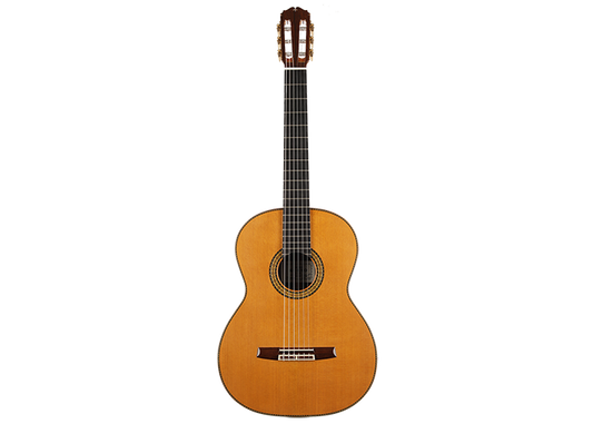Sakurai Kohno - 2018 Special Cedar