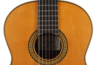 Sakurai Kohno - 2018 Special Cedar