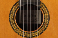 Sakurai Kohno - 2018 Special Cedar
