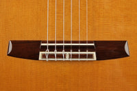 Sakurai Kohno - 2018 Special Cedar