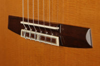 Sakurai Kohno - 2018 Special Cedar