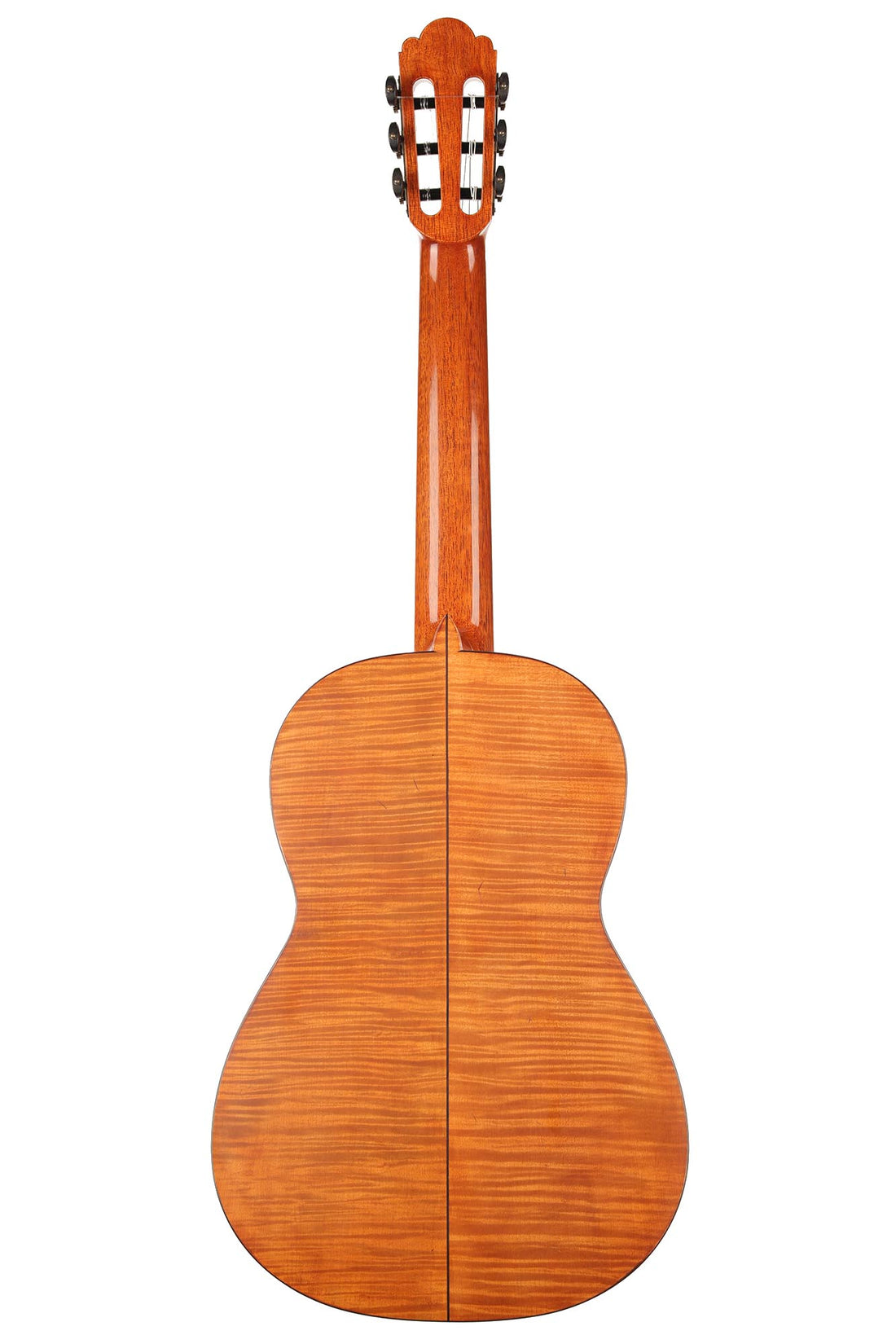 La Cañada - 17A Maple 64 cm