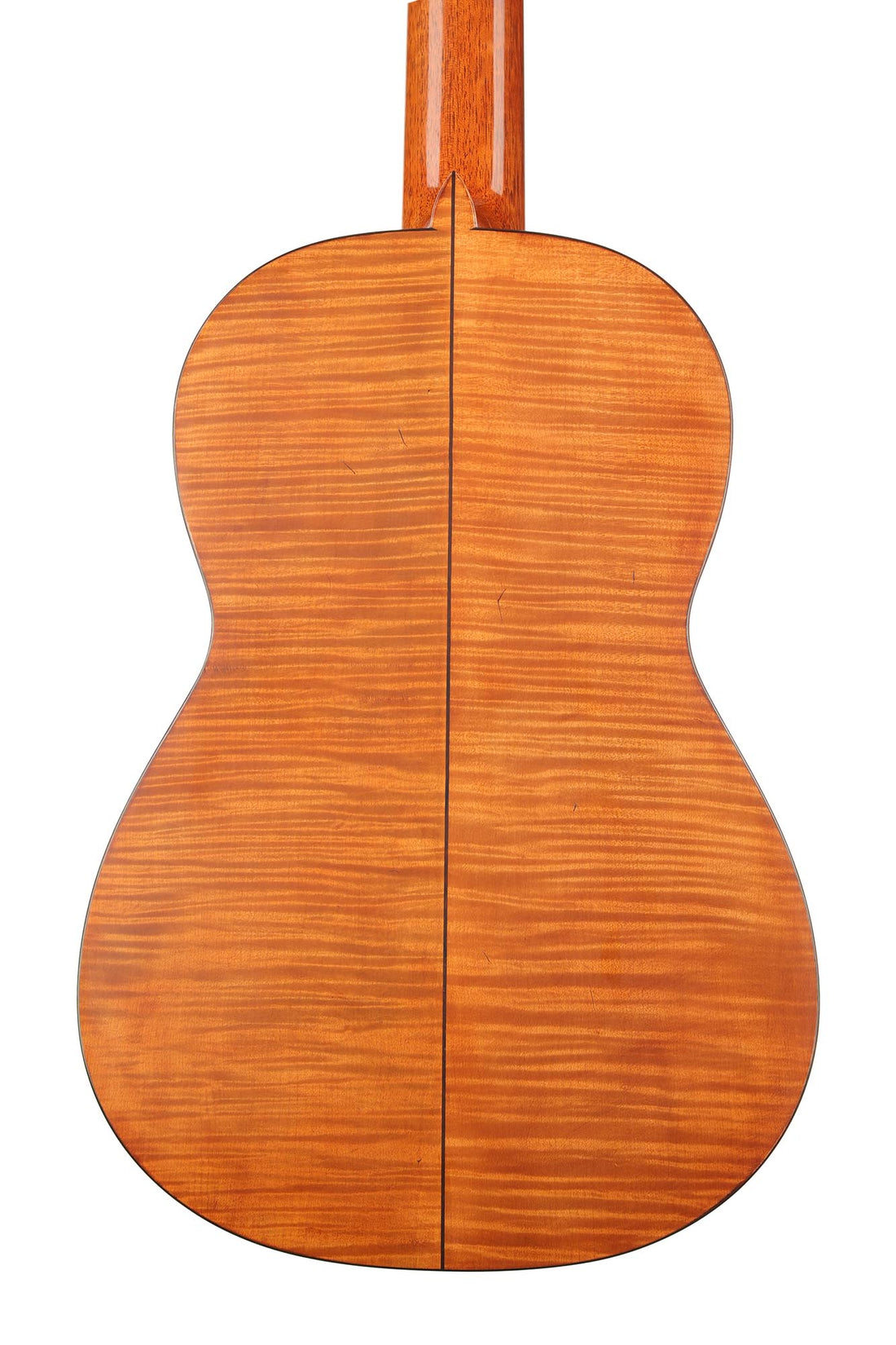 La Cañada - 17A Maple 64 cm