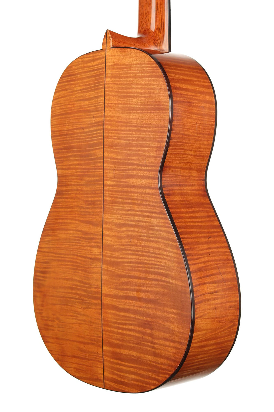 La Cañada - 17A Maple 64 cm