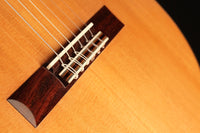 Michael Cadiz - 2018