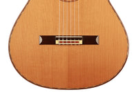 Michael Gee - 2013 Doubletop