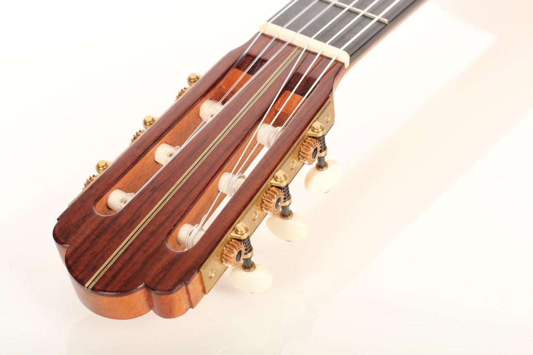 Nicolaus Wollf  - 2016