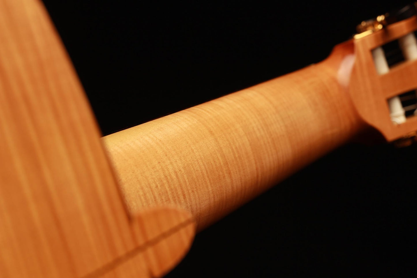 Nicolaus Wollf - 1993