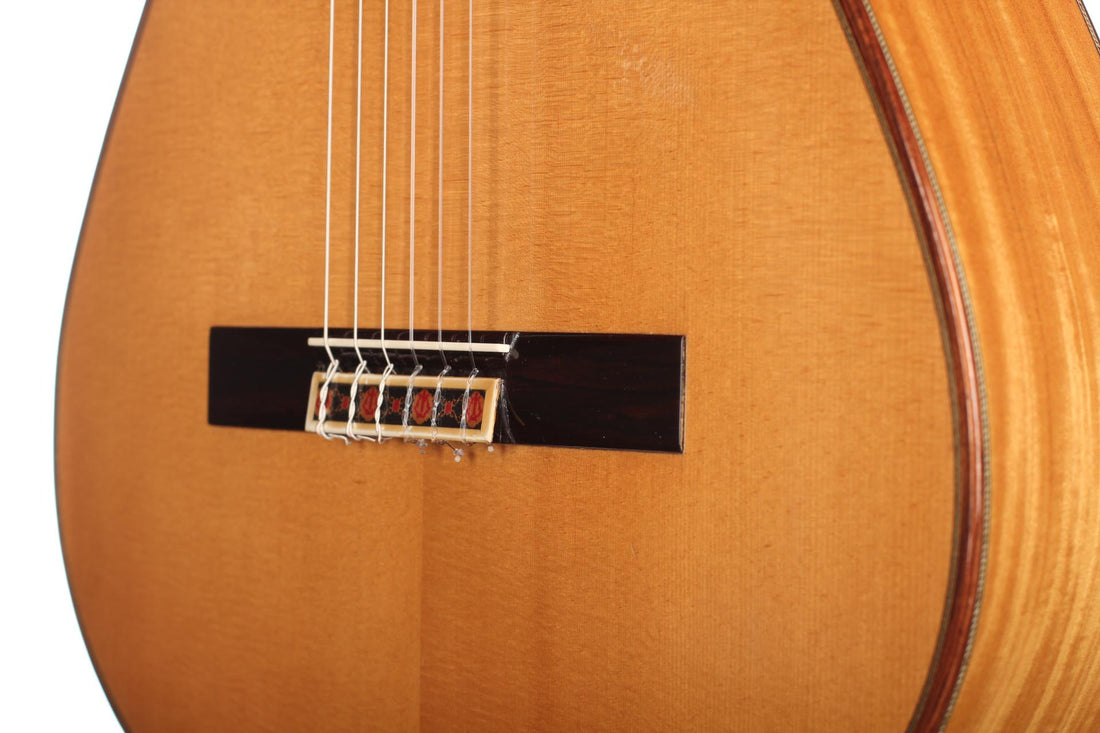 Paul Fischer - Simplicio 1999