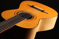 Paul Fischer - 1985 "Panormo 7 Strings"