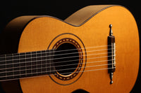 Paul Fischer - 1985 "Panormo 7 Strings"