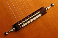 Paul Fischer - 1985 "Panormo 7 Strings"