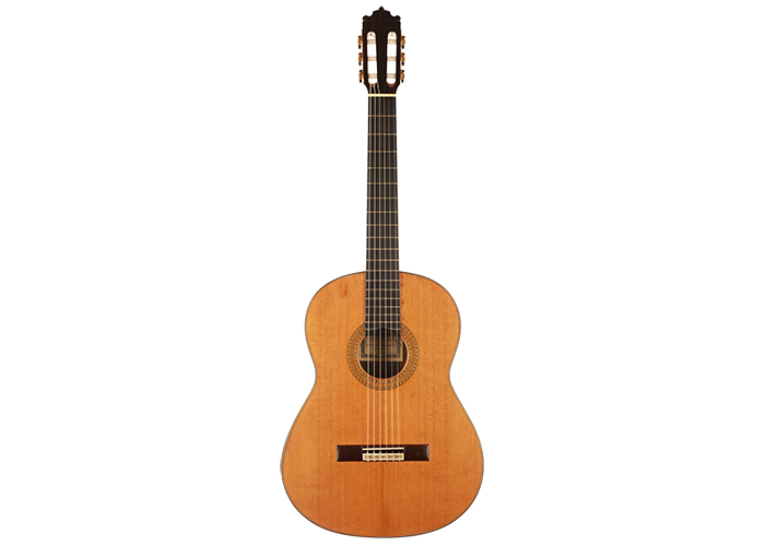 Paulino Bernabé - 1995