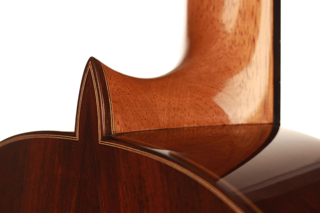 Paulino Bernabé - 2019 640mm