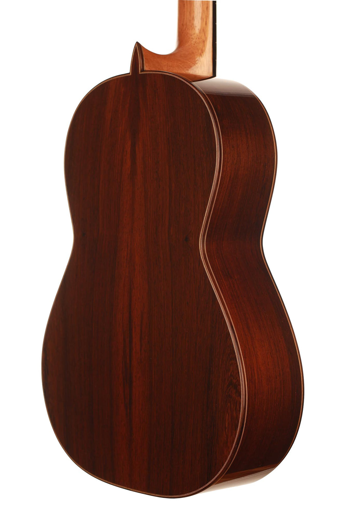 Paulino Bernabé - 2019 640mm