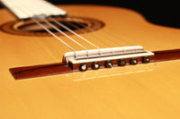 Paulino Bernabe - 2019 Concierto