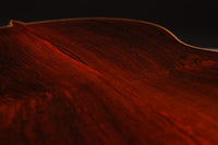 Paulino Bernabe - 2019 Concierto